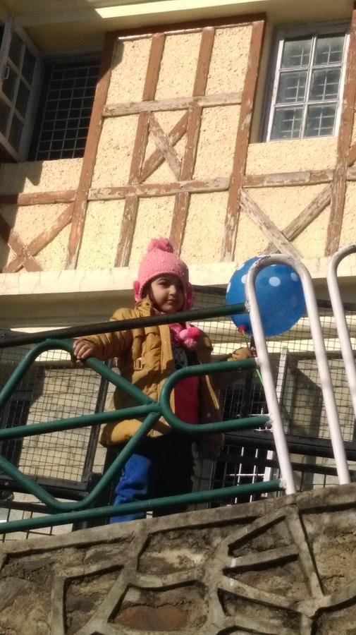 שימלה The Thistle Lodge מראה חיצוני תמונה